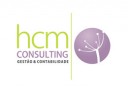 hcm-consulting